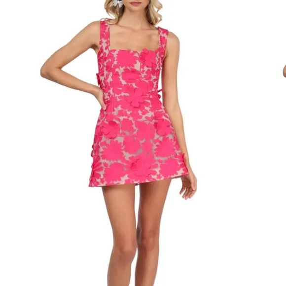 Helsi Anthropologie Belen Floral Appliqué Cocktail Minidress in Garden Pink XS - Picture 7 of 10